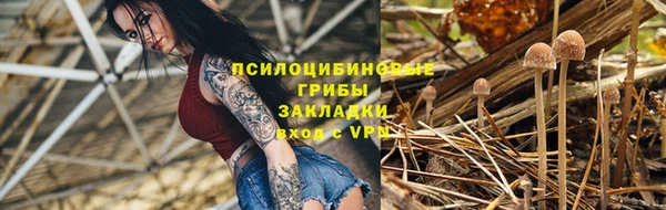 jwh Абаза