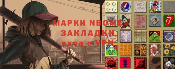 индика Покачи