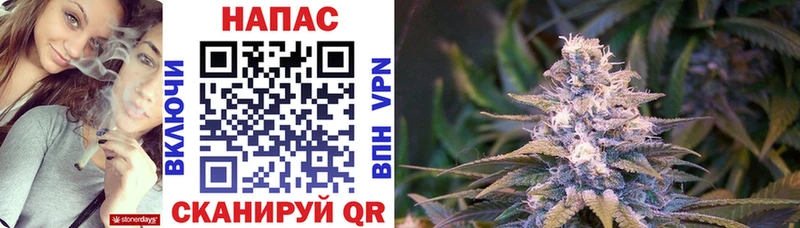 Бошки марихуана Bruce Banner  Котлас 